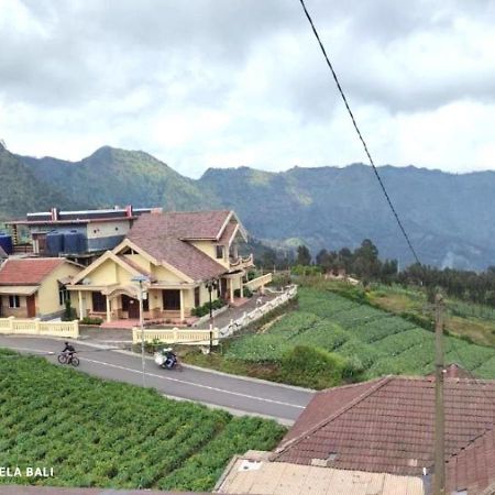 Tengger Indah Bromo By Abm Exterior photo